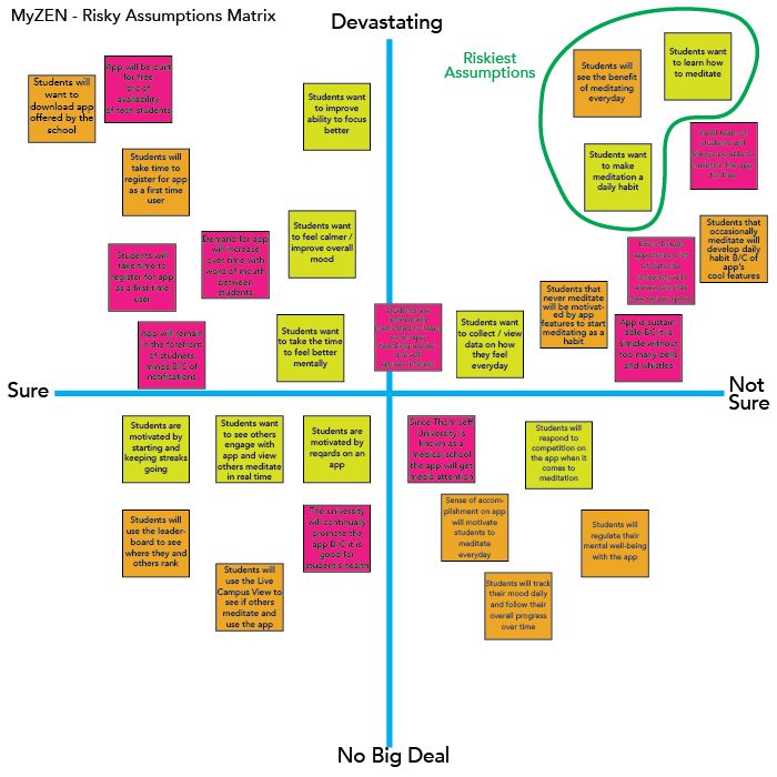 risky assumption matrix